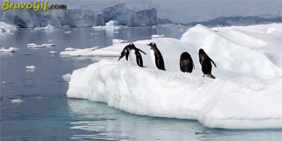 20140930 super penguin jump